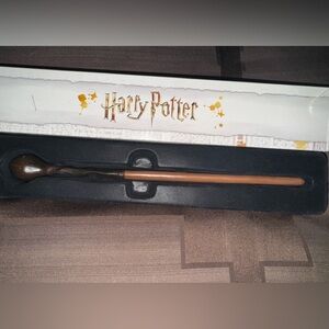 Harry Potter The wand of Remus Lupin, Defense Against the Dark Arts teacher